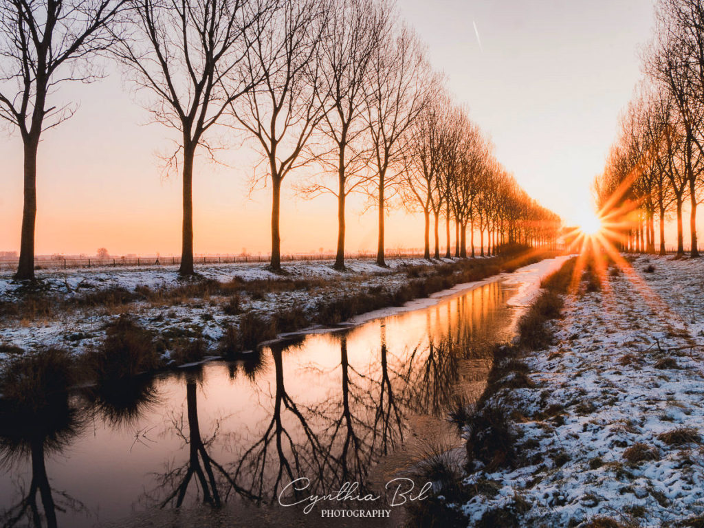 Winter in Zeeland